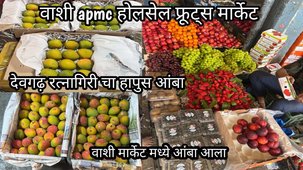 देवगढ़ चा हापुस आंबा वाशी मार्केट | Vashi APMC Wholesale Fruits Market | Navi Mumbai Fruits Market |