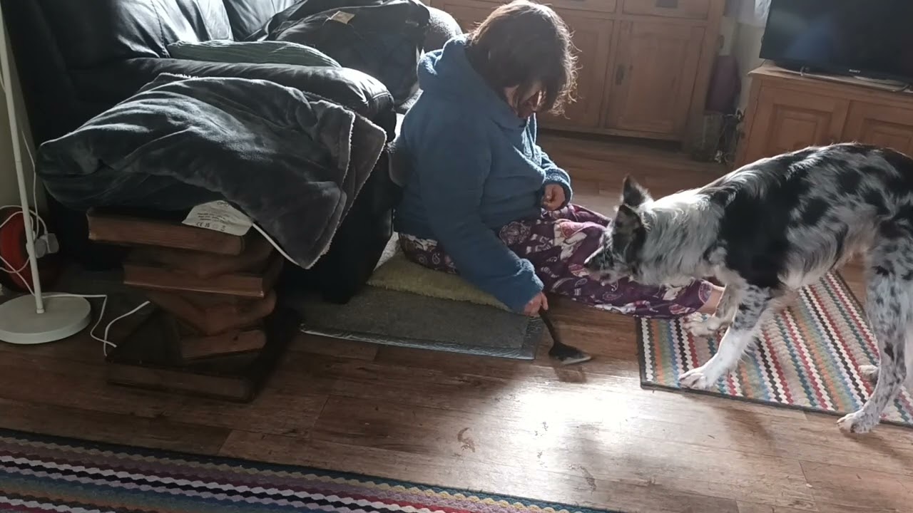 Chew-ee new trick! (Stage 1)