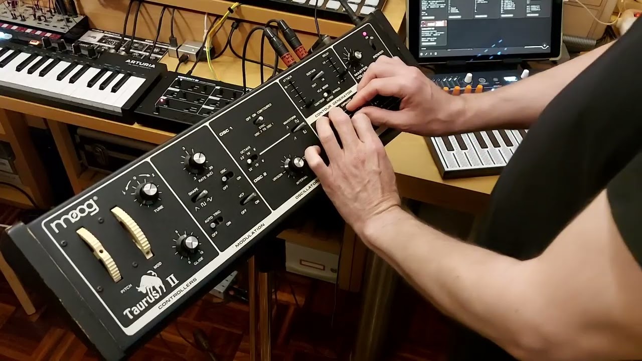 Piece II for Double Bass & Moog Taurus II