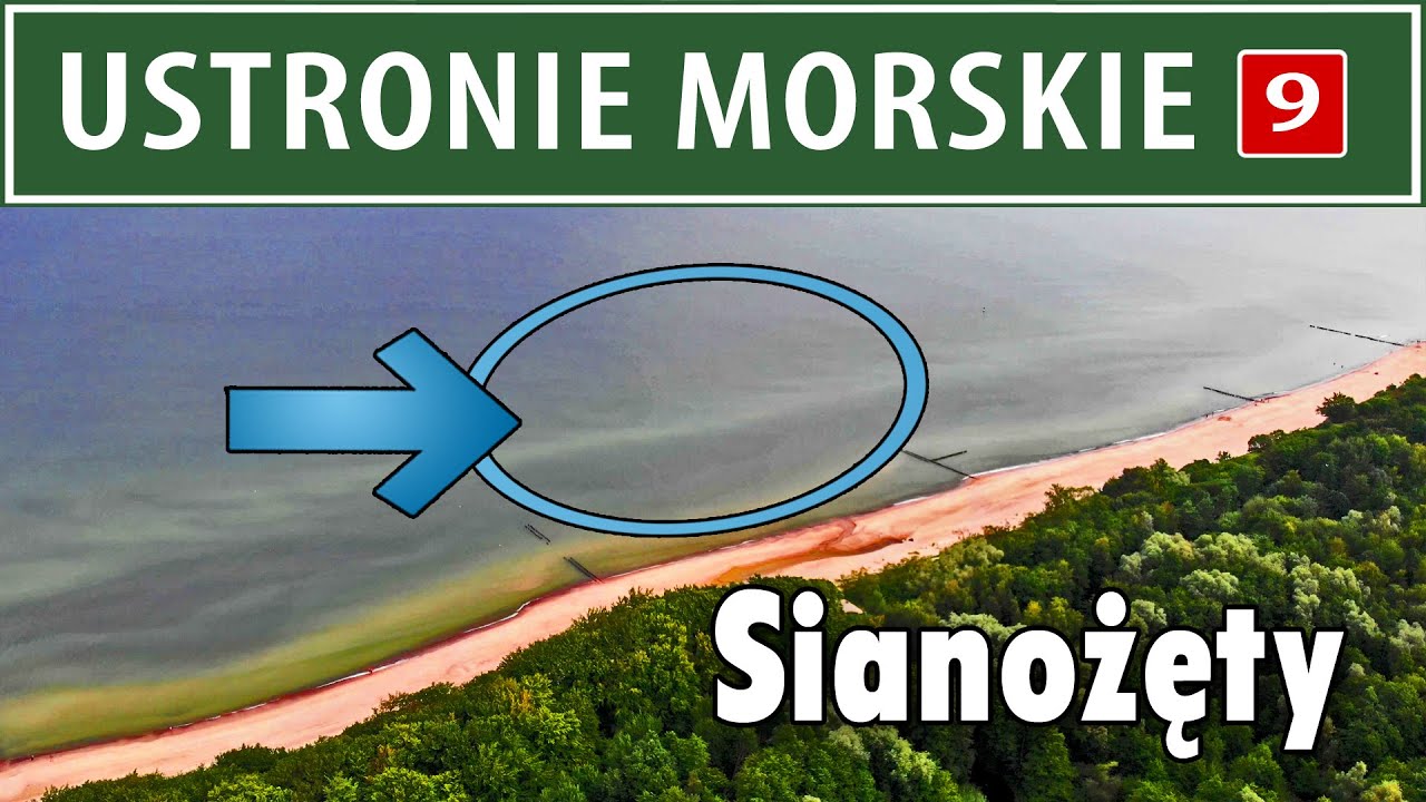USTRONIE MORSKIE ➤ SIANOŻĘTY - surf & spin  (opis ło wiska)