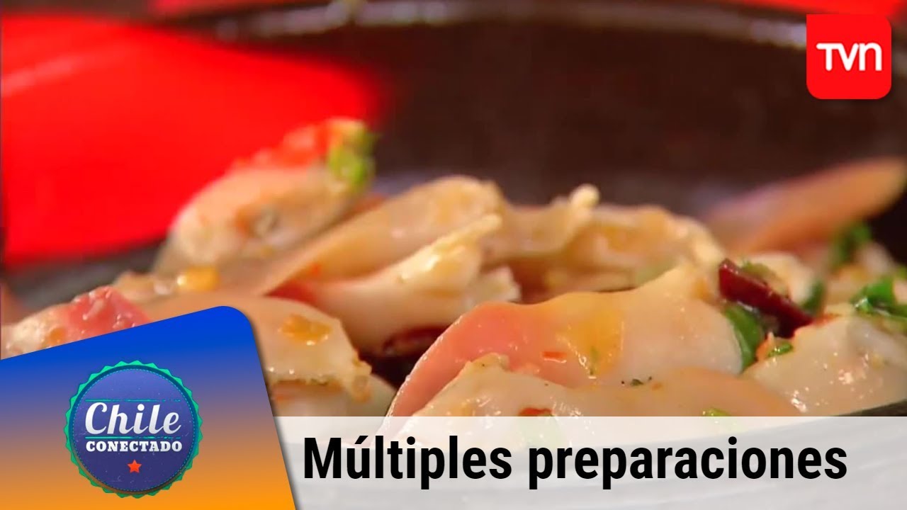 Las m&uacute;ltiples preparaciones de las machas | Chile conectado | Buenos d&iacute;as a todos