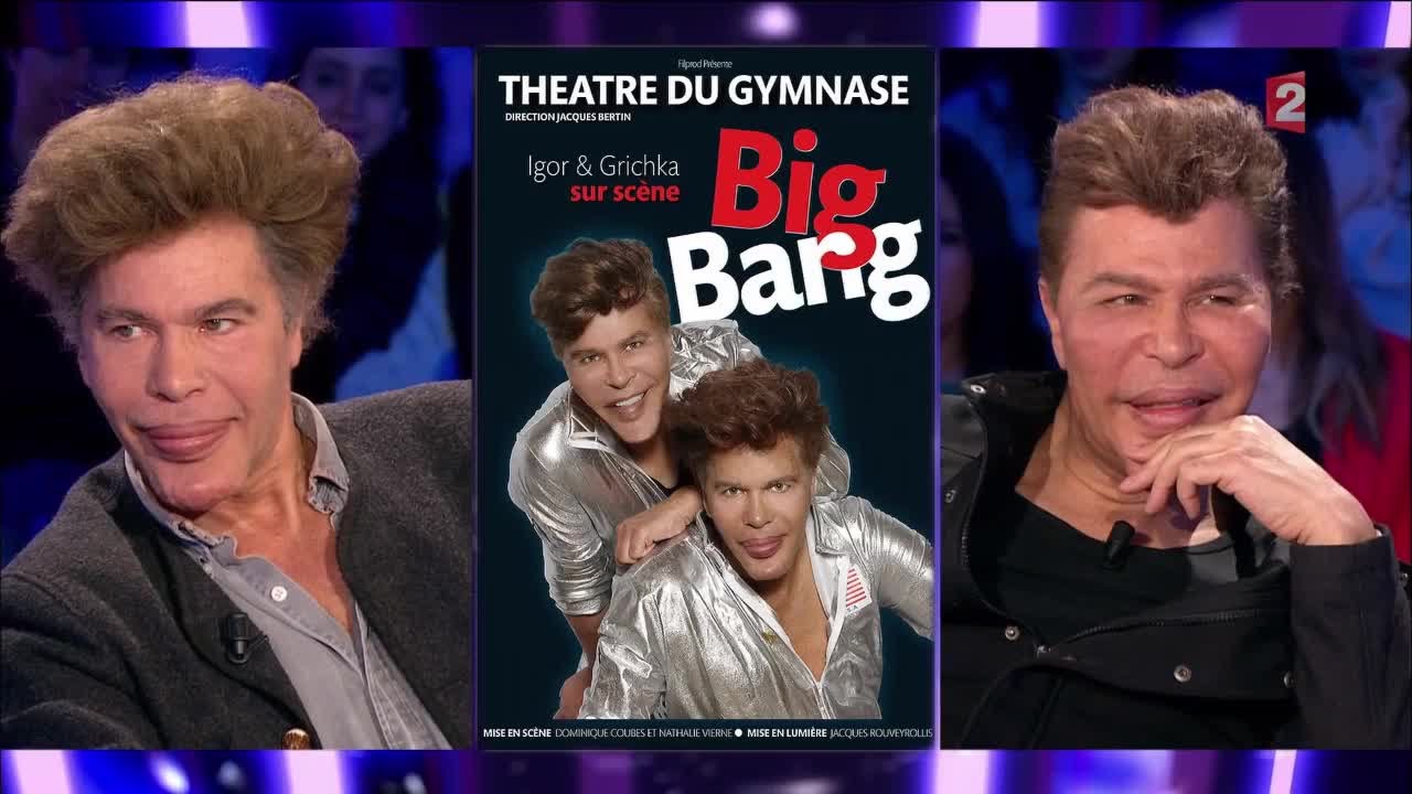 Igor et Grichka Bogdanov - On n'est pas couché 19 mars 2016 #ONPC