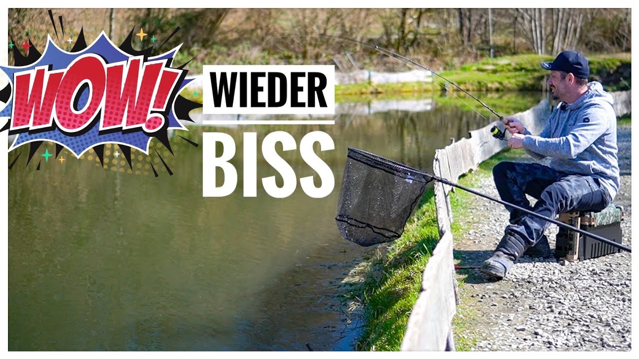 GENAU DAS verschweigen DIR die Forellenprofis!