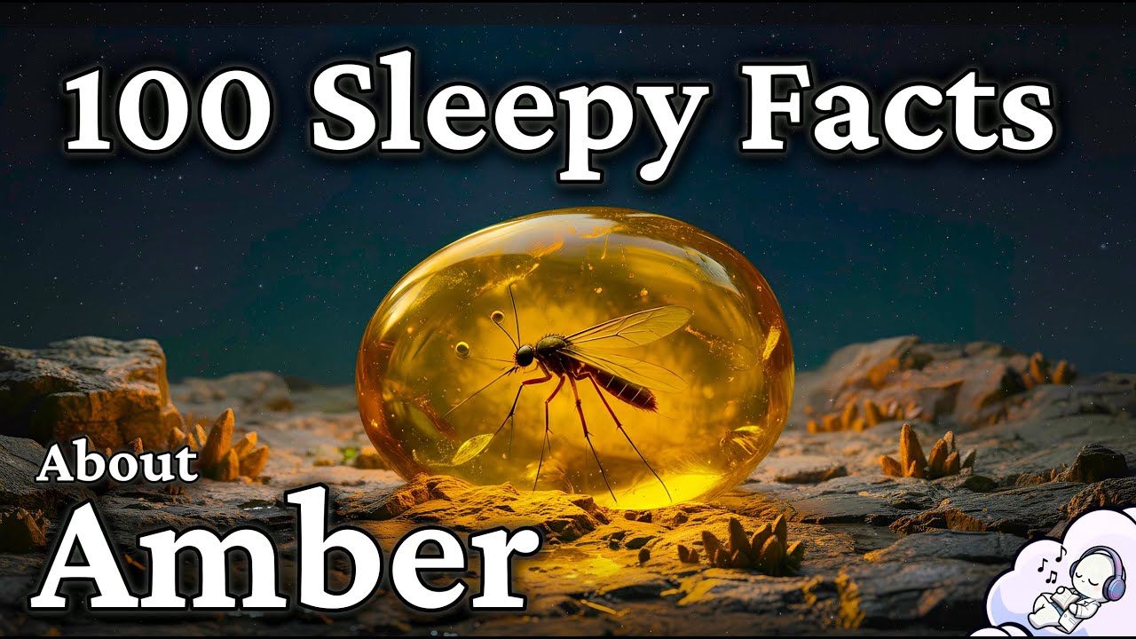 The Most Relaxing Facts About Amber to Fall Asleep To