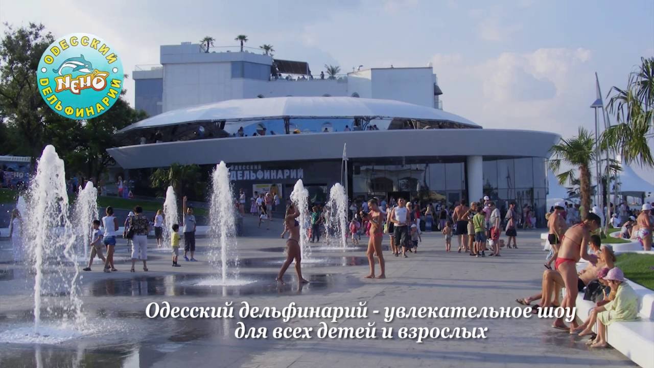 Экскурсии в Ruta Family Club Hotel - в дельфинарий 