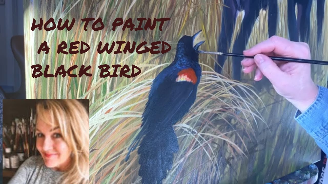 How to paint a Red Winged Black Bird-Work in Progress of a larger piece (Part 2)