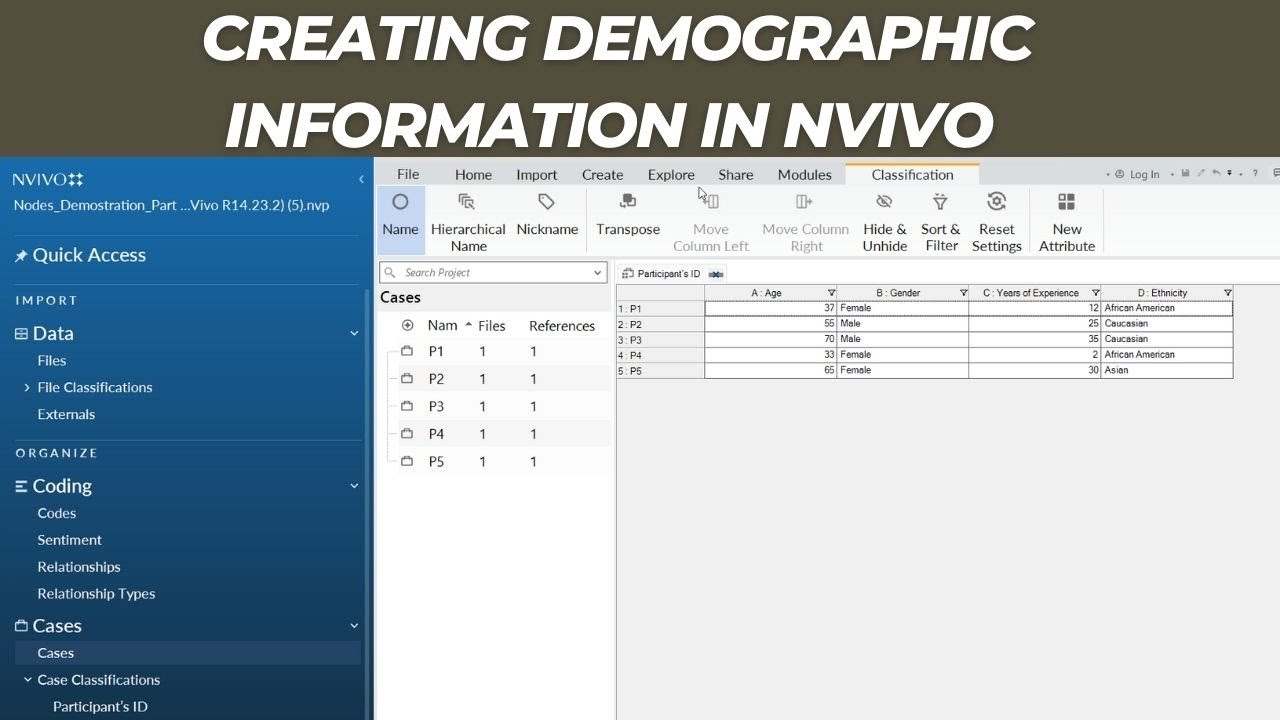 Создание демографической информации в NVivo
