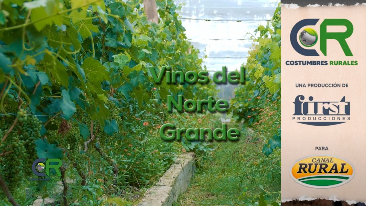 Vinos del Norte Grande - CR#1064
