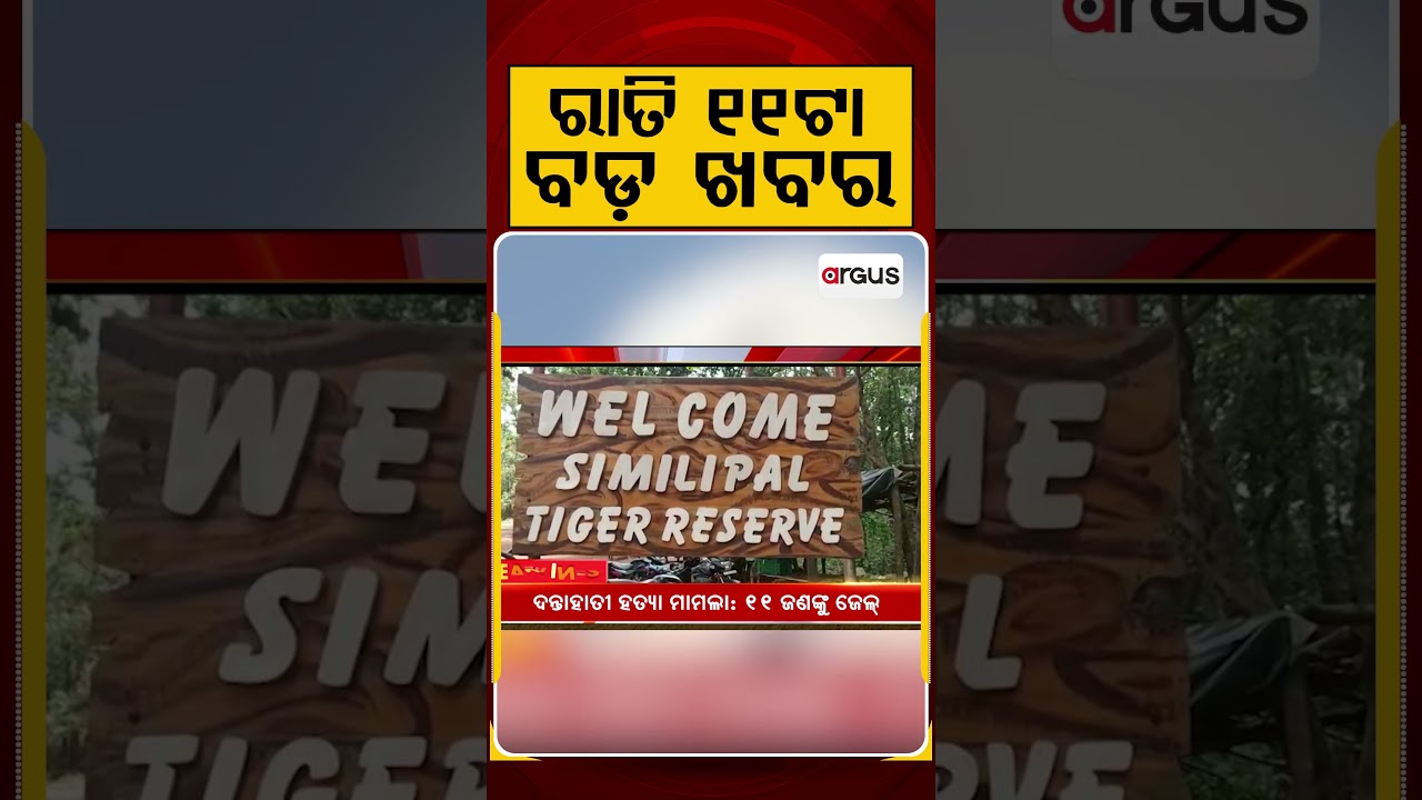 ରାତି ୧୧ଟା ବଡ଼ ଖବର | 11PM Headlines | Today Top News | Big Breaking | Odisha Update | Argus News