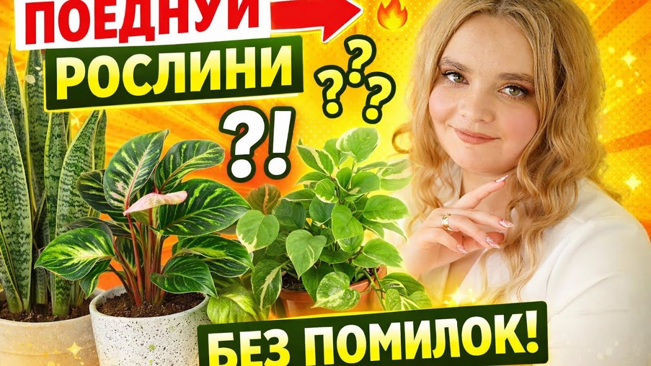 Як поєднувати рослини між собою 