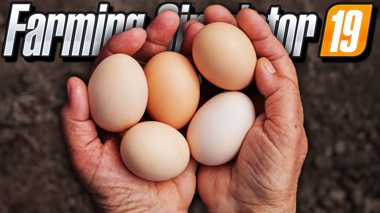 FARMING SİMULATOR 19 // İLK YUMURTA SATIŞI #24