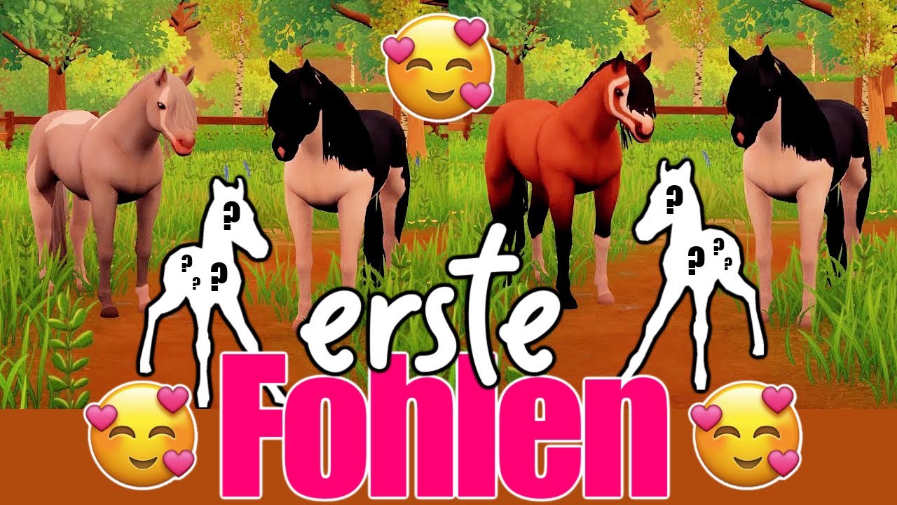 wir züchten unsere 🅴🆁🆂🆃🅴🅽 FOHLEN 🐴 Ranch of Rivershine