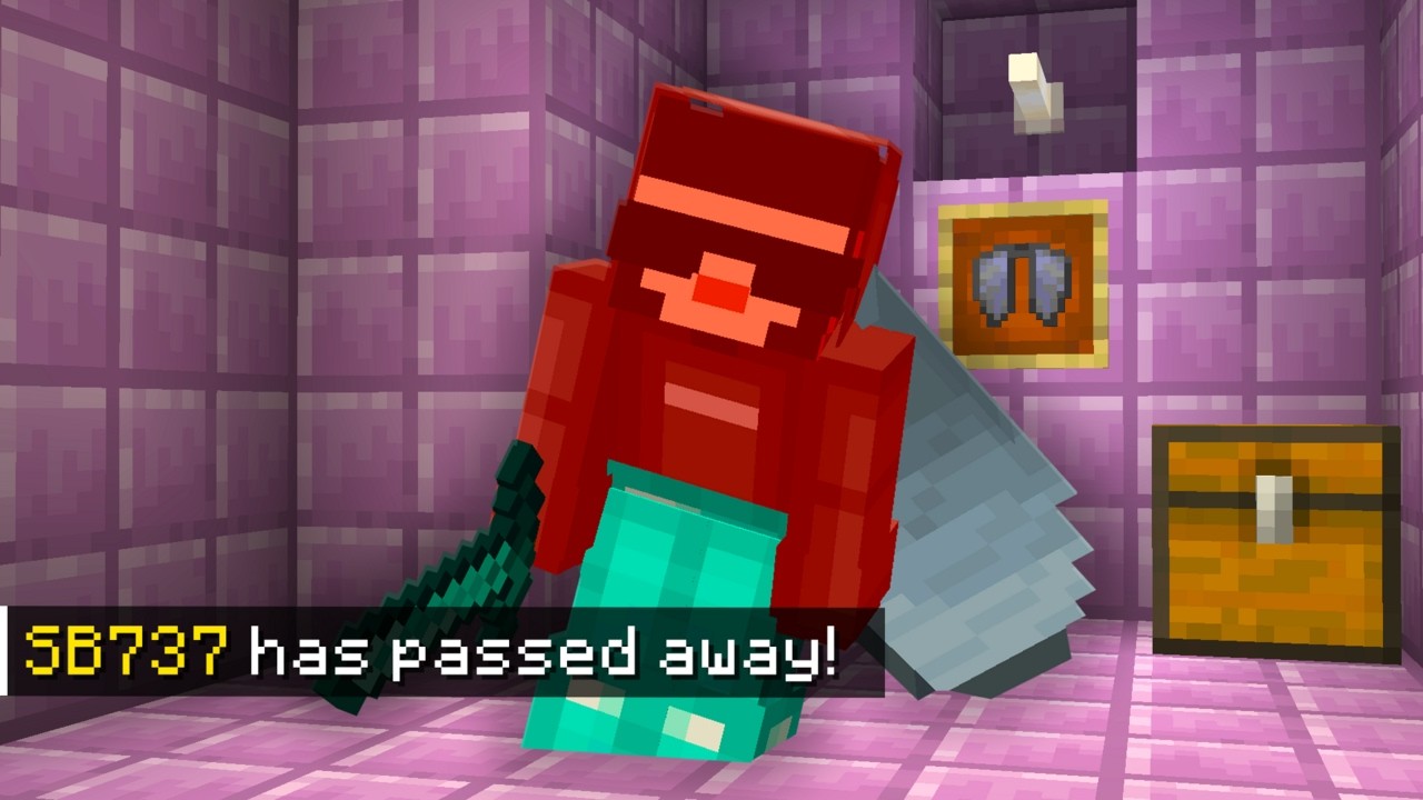 I Died in the END on the Lifesteal SMP...