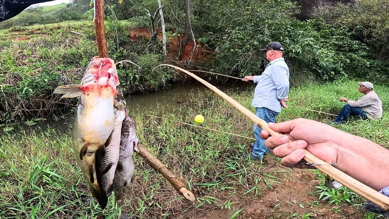NUNCA SUBESTIME UM CÓRREGO DESCONHECIDO!! Ele Literalmente CAPOTOU... Pescaria Caipira