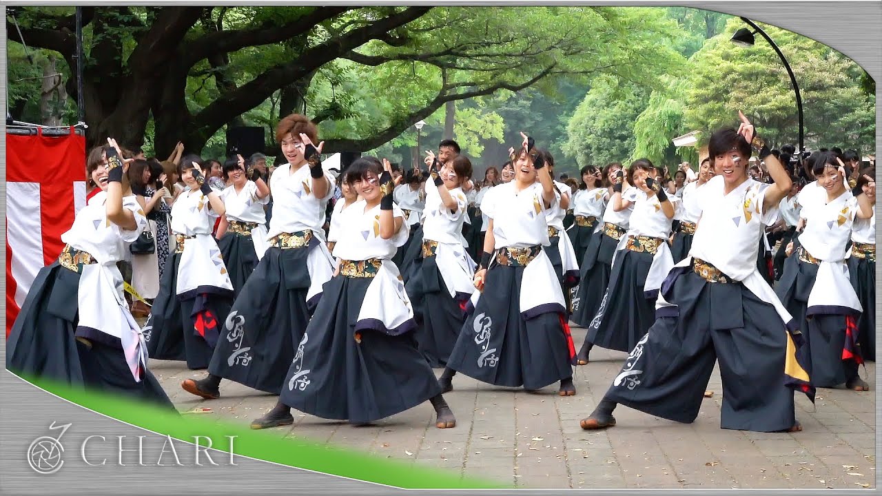 【4K】早稲田大学 踊り侍｜ROCK YOU（光が丘よさこい2016）