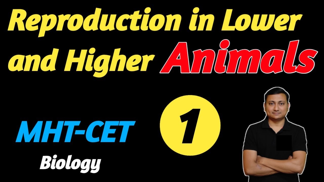 Reproduction in Lower & Higher Animals | Part 1 | MHT-CET | Digambar Mali