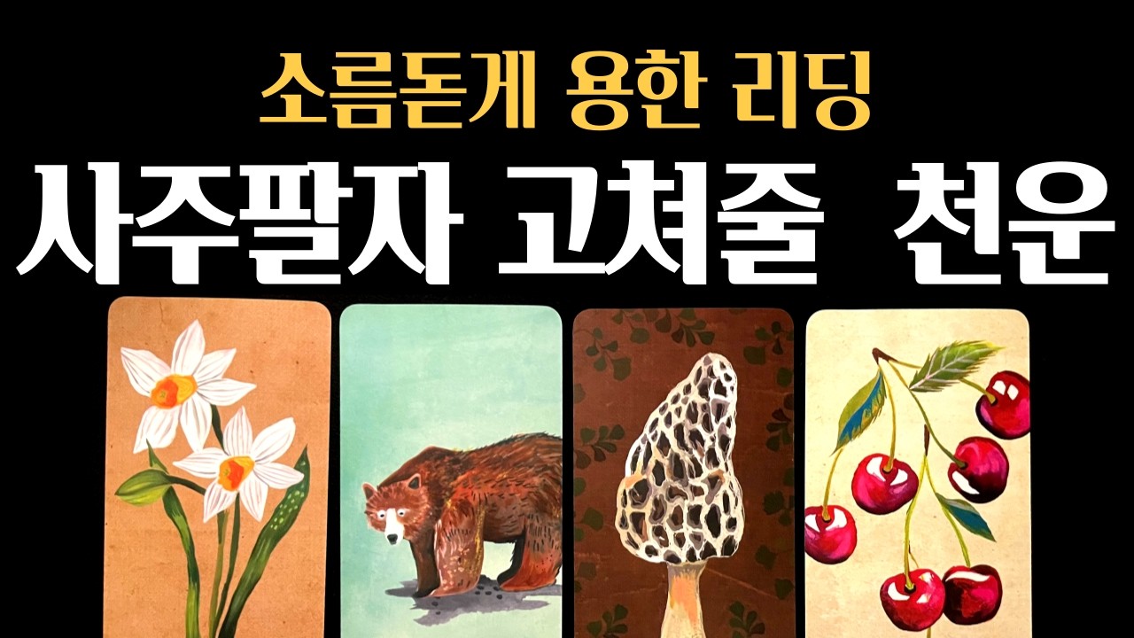 [타로] ⚡소름돋게 용한❗사주 팔자 고쳐 쓸 역대급 천운