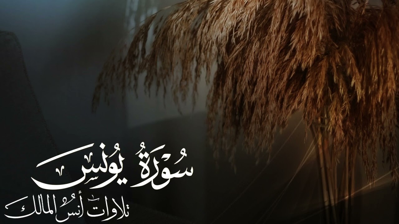 تلاوة سورة يونس للقارئ أنس المالك من ليالي رمضان لعام ١٤٤٤