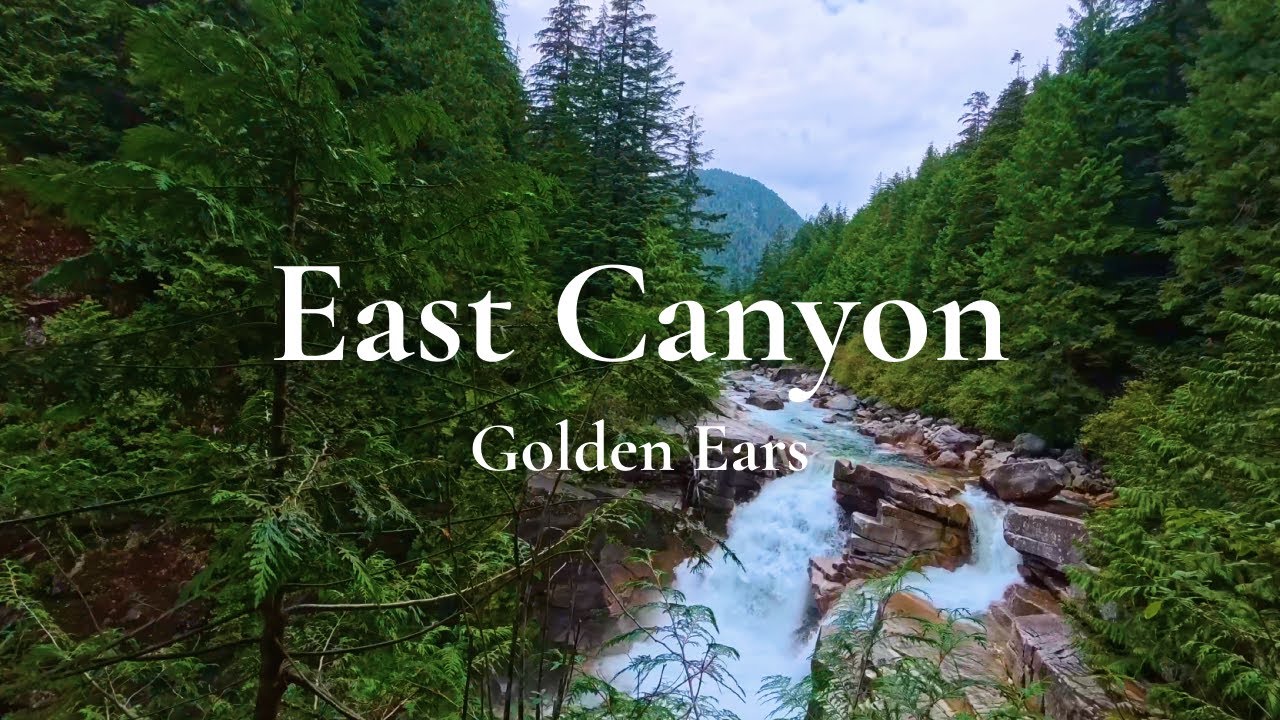 Rugged Trails & Waterfalls | Golden Ears's East Canyon & Upper Falls Loop 🌊🌲