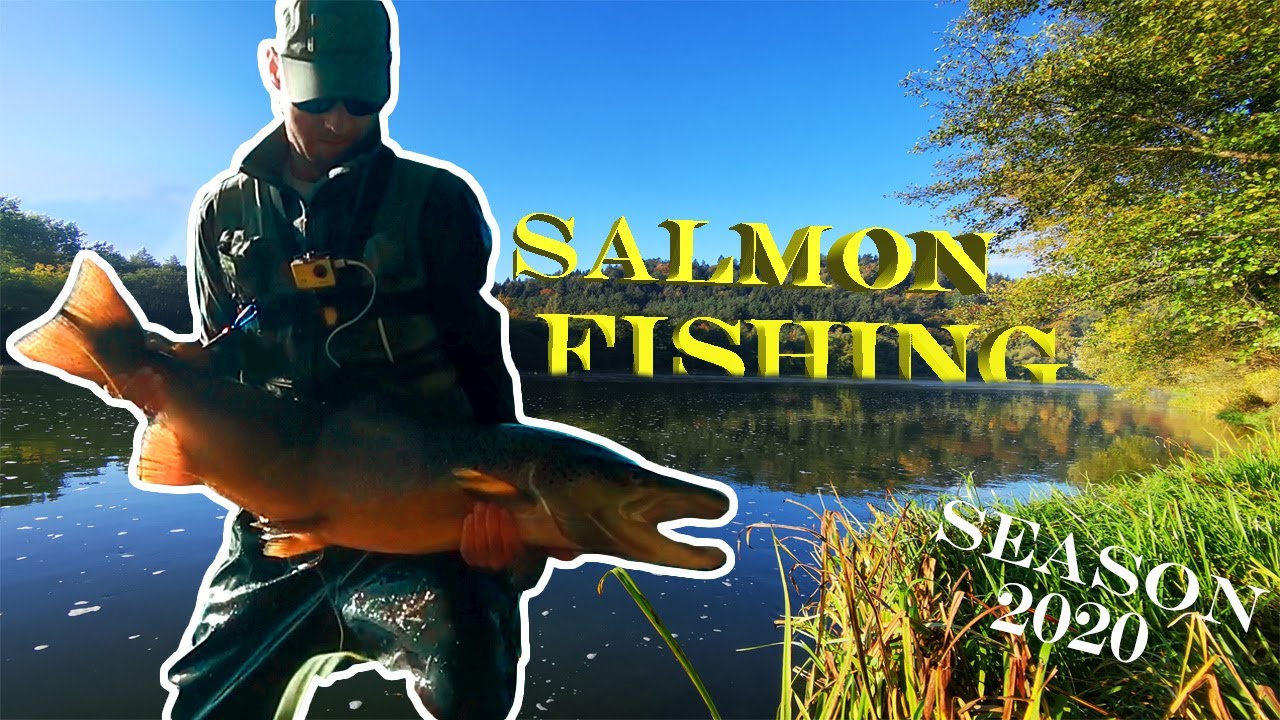 SALMON FISHING | 2020 | NERIS