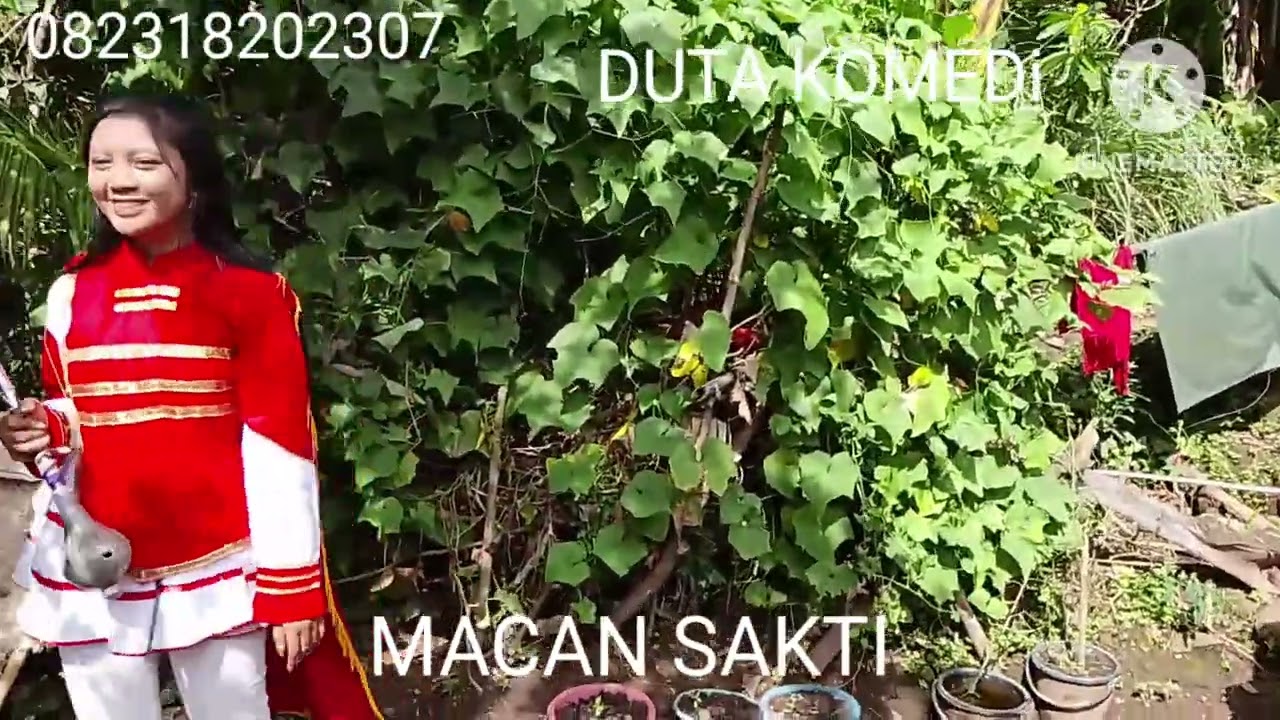 Jelbuk bersama macan sakti