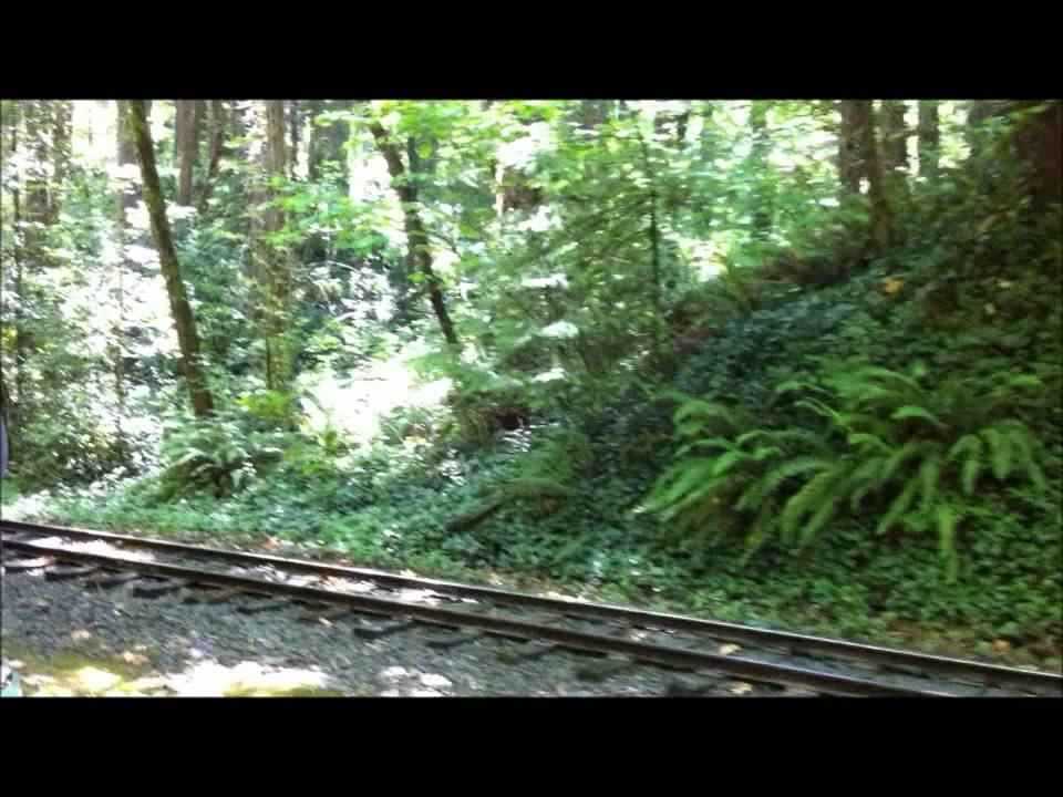 The Oregon Zoo Trains 2012.wmv