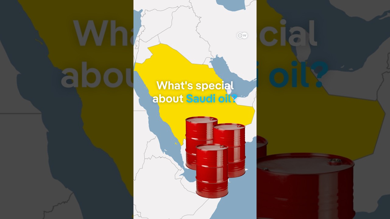 This is why we keep talking about Saudi Arabia&rsquo;s oil | DW News