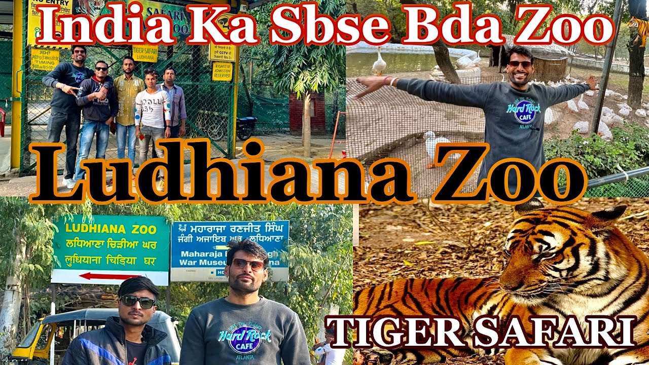 India Ka Sbse Bda Zoo 🐒🐘||Ludhiana Zoo || Tiger 🐅 Safari || Aryan Rao