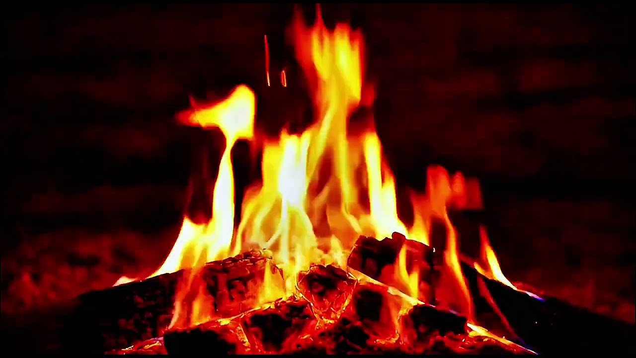 Crackling Campfire in the Dark🔥ASMR for Relaxation #fyp #focus #firesounds #naturelovers #viralvideo