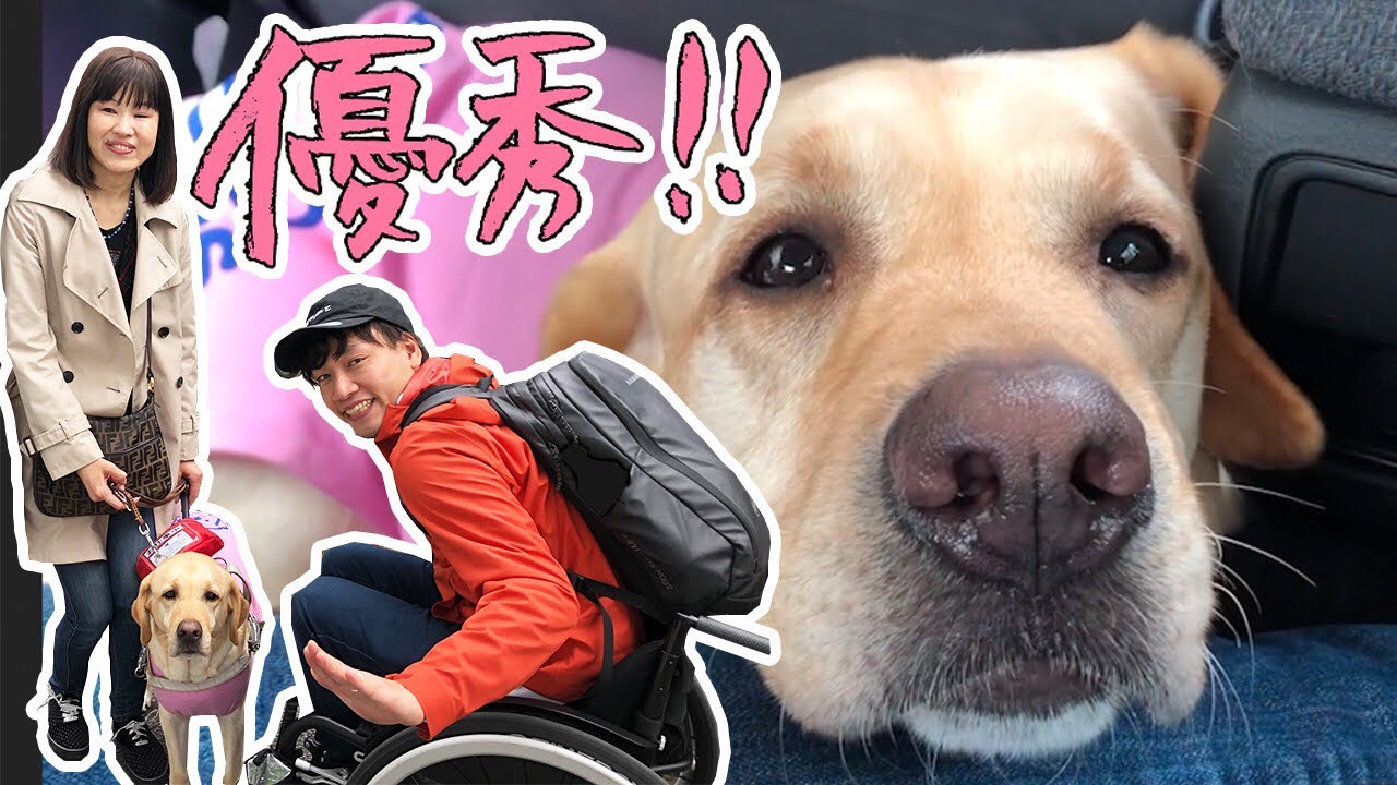 全盲視覚障がい者と盲導犬の日常を知って欲しいです。