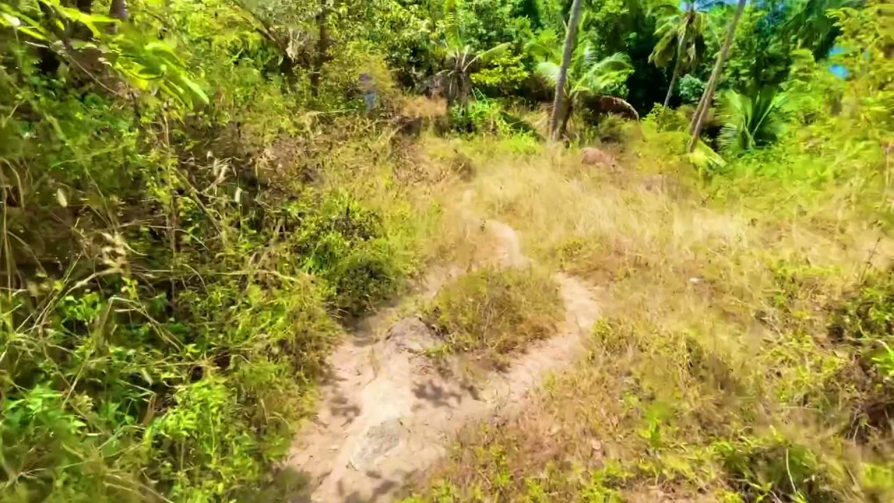 Trekking to John Suwan viewpoint Koh Tao , Thailand 2021