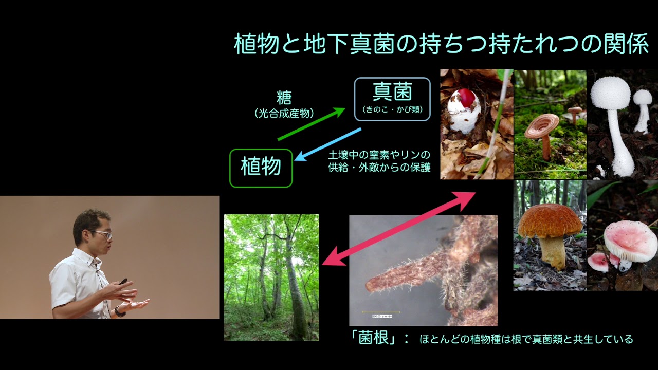 京都大学春秋講義「共生ネットワークでよみとく地球生態系の未来」東樹 宏和（生態学研究センター 准教授）2018年9月22日