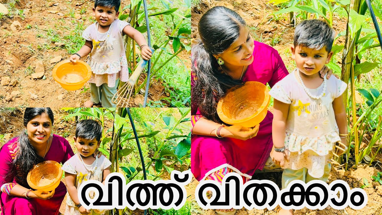 എളുപ്പത്തിൽ വിതുമുളക്കാൻ #Aavaniees vlog