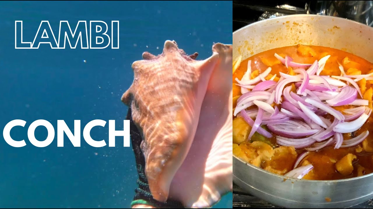 How to make Haitian stew conch (LAMBI) | Delicious, Quick & Easy Recipe | How to cook Conch