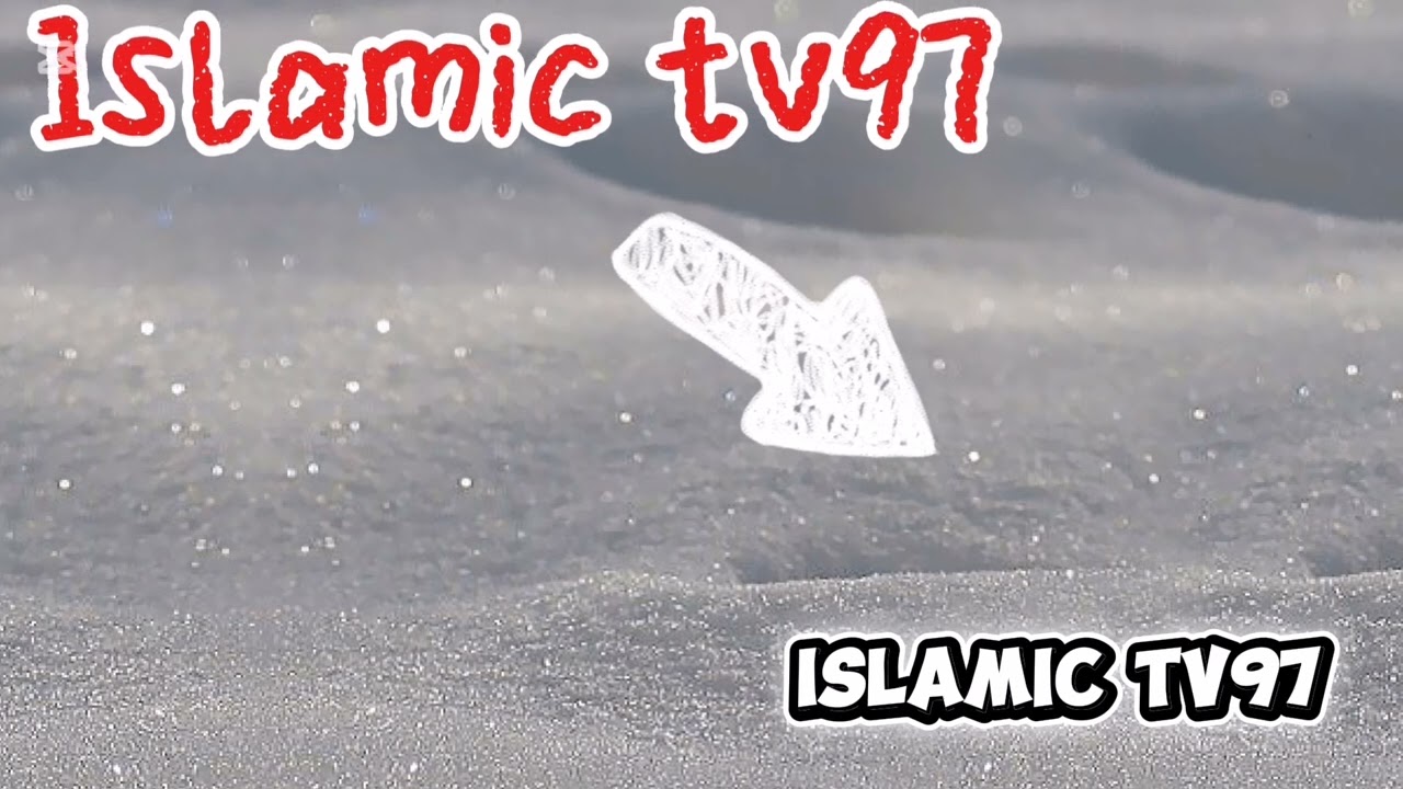 @Islamic tv97. Эслатма Аллох учун охиргача ешитизни илтимос киламиз.#motivation #дуо #islamicshorts 