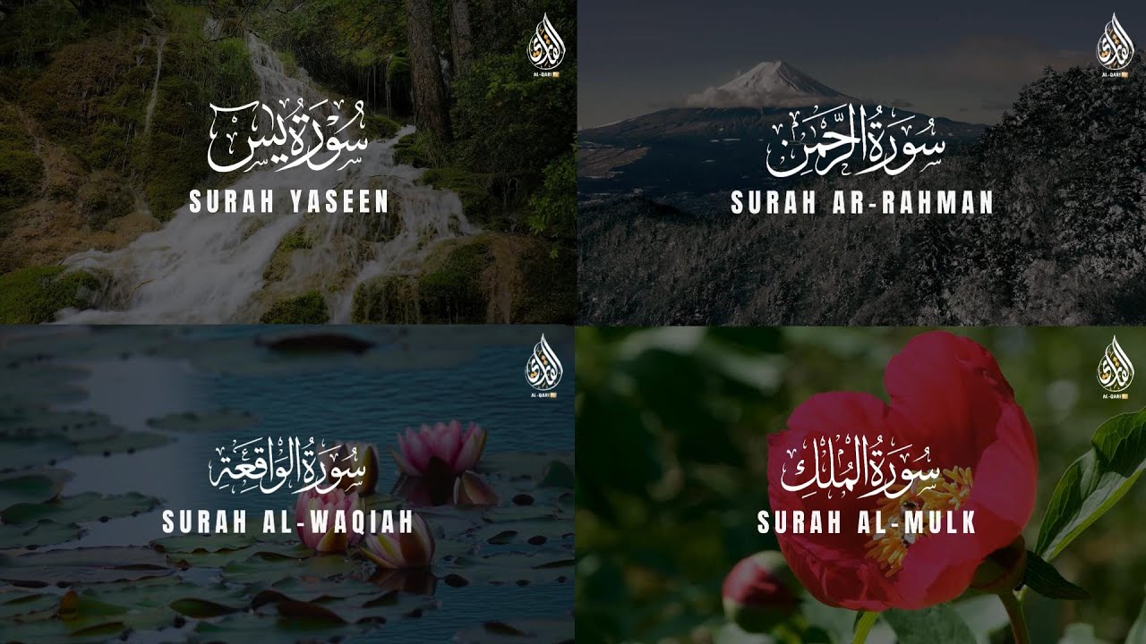 Surah Yaseen, Rahman, Waqiah & Mulk with English Subtitles | Rizq, Shifa & Night Protection