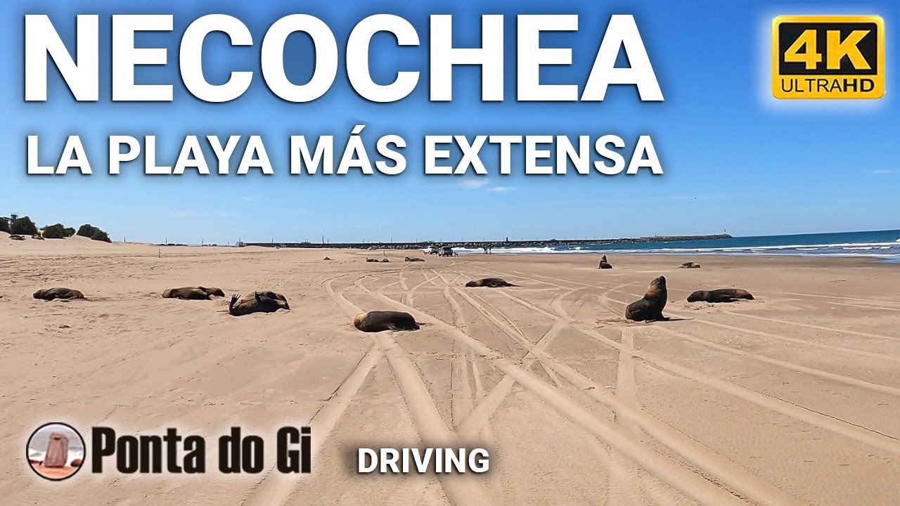【4K】NECOCHEA #driving tour 2022 y sus imperdibles LOBOS MARINOS en la PLAYA- BUENOS AIRES -Argentina