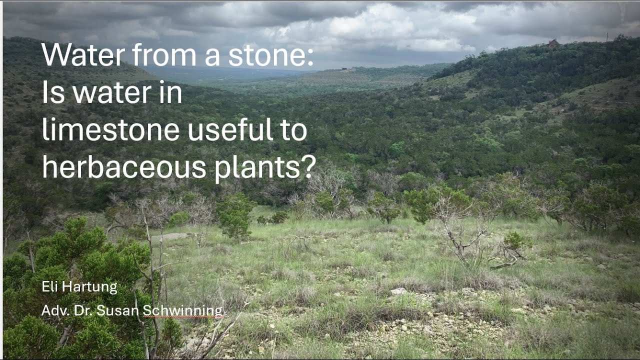 05192025 Water from Stone - Eli Hartung - Dallas NPSOT
