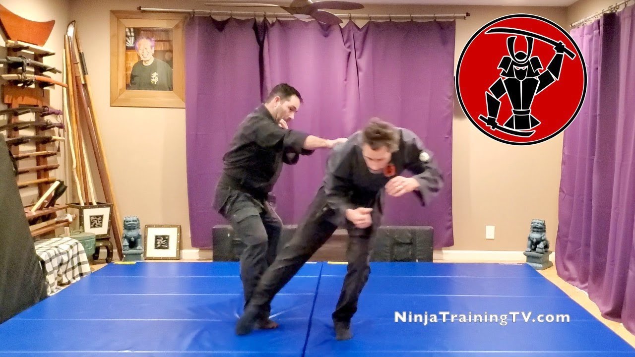 Hidari Seigan no Kamae, Moto Gata, Koto Ryu Koppojutsu