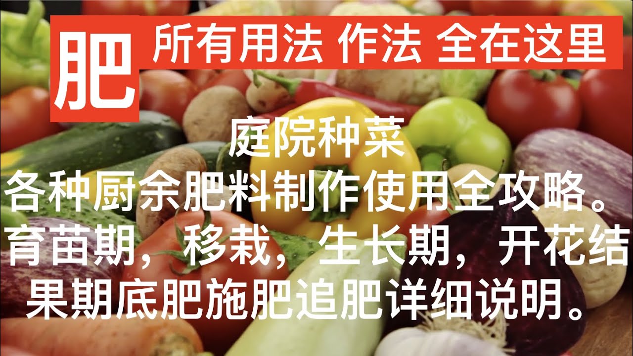 有机肥种类｜如何制作有机肥｜如何使用有机肥