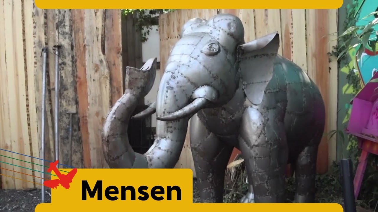 ROB VAN ZWEDEN, PAINTBALL JUNGLE WORMERVEER, JUNI 2025