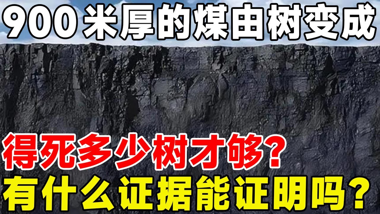 900米厚的煤由树变成，得死多少树才够？有什么证据能证明吗？#科普 #科普頻道