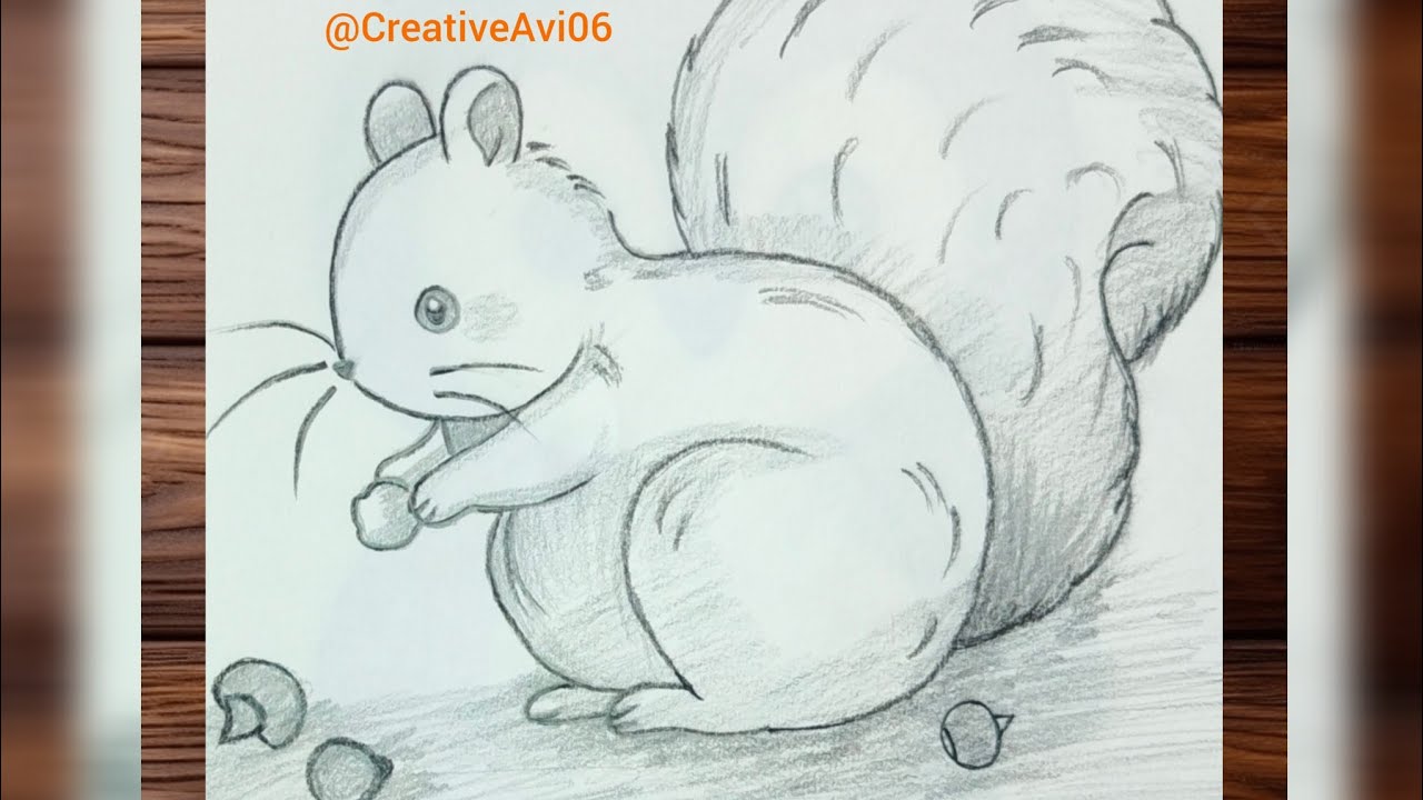 How to draw a Squirrel # Squirrel Sketch # cute Squirrel 