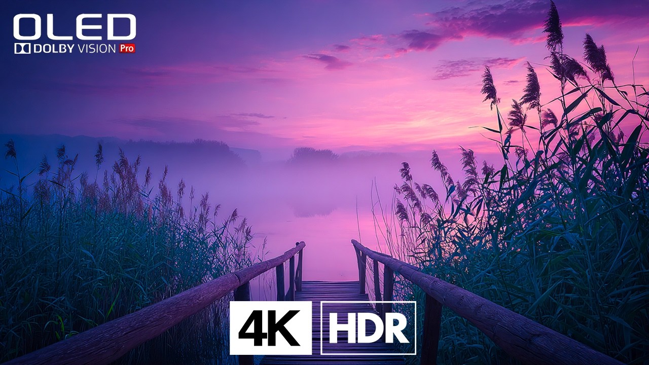 REAL 4K HDR 60FPS Dolby Vision | Unmatched Clarity