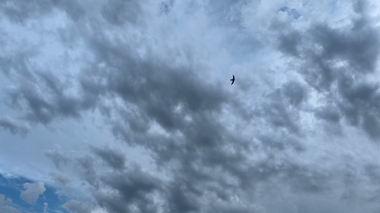Nubes lentas con música relajante - Un cielo para relajarse y meditar en 4k