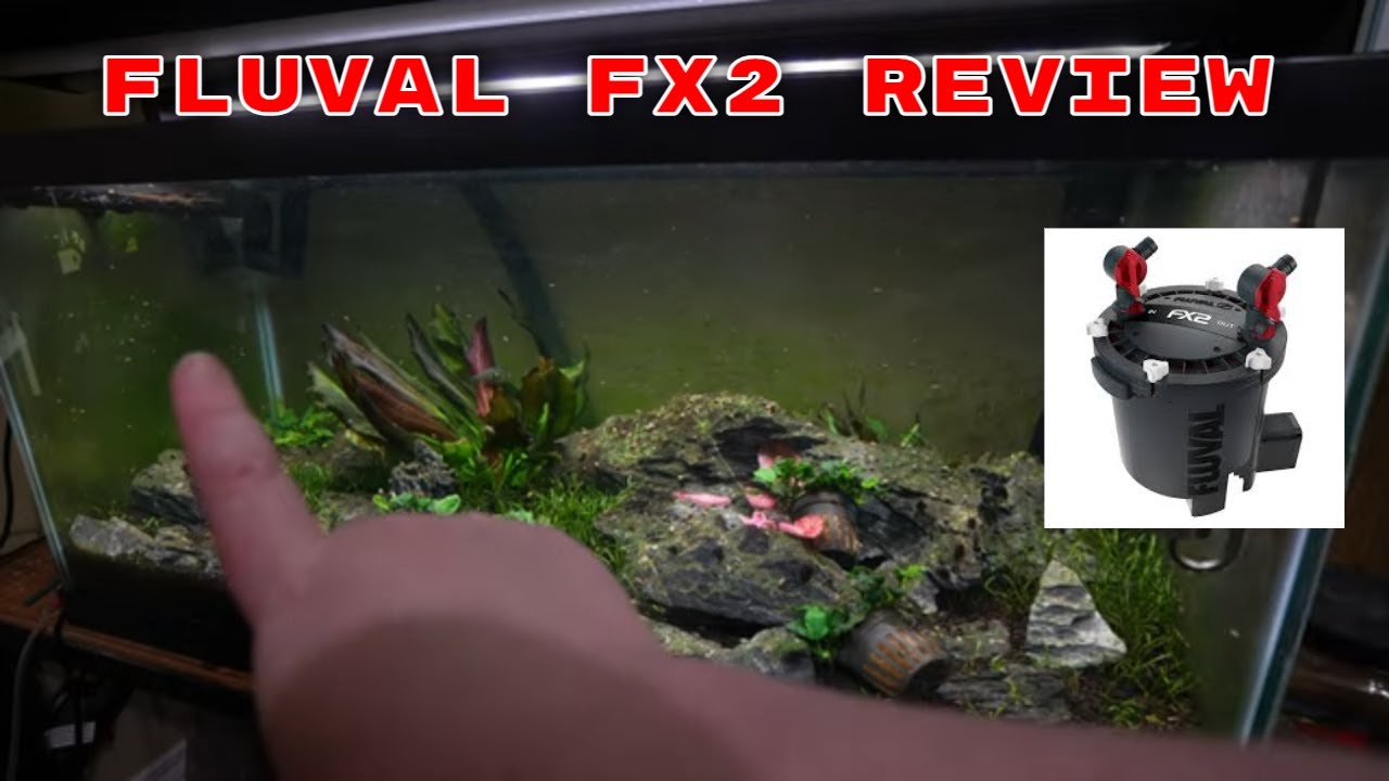 Fluval FX2 Long Term Review