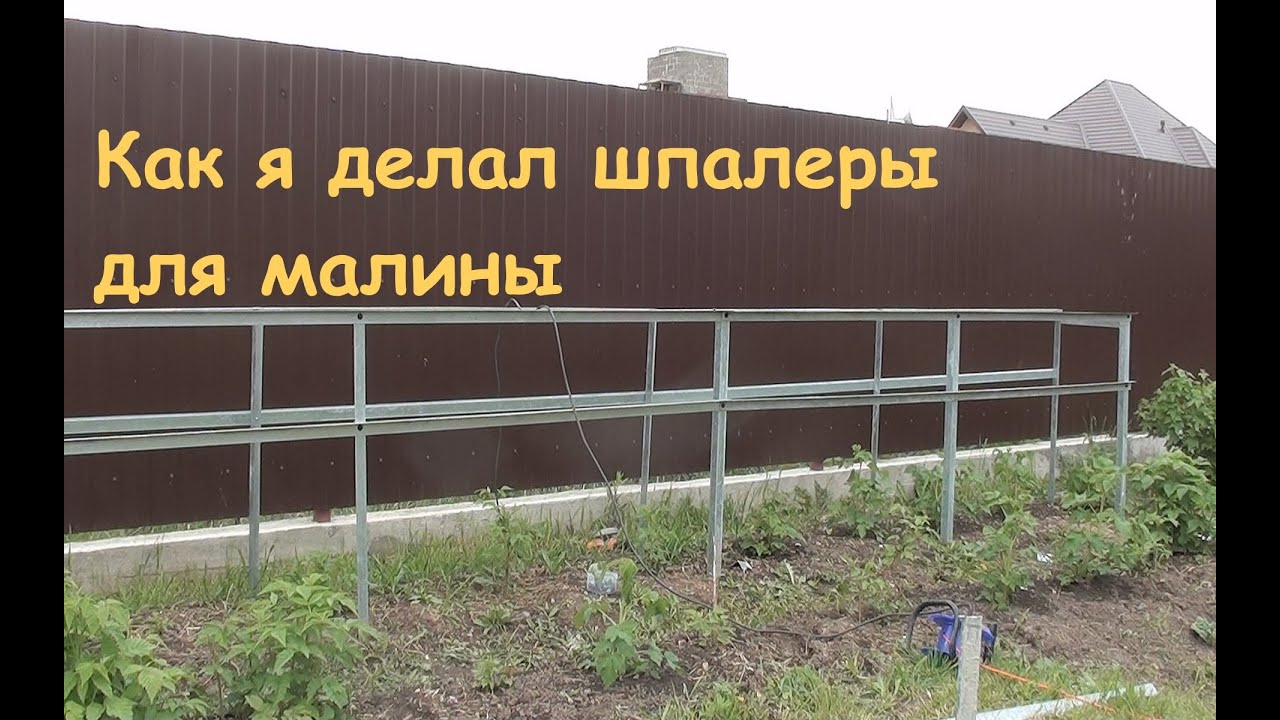 Как я делал шпалеры для малины