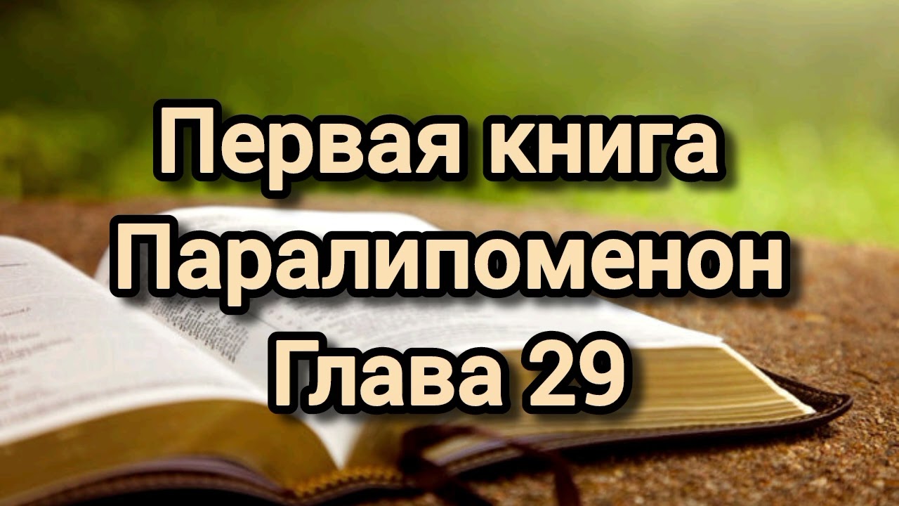 Первая книга Паралипоменон, глава 29