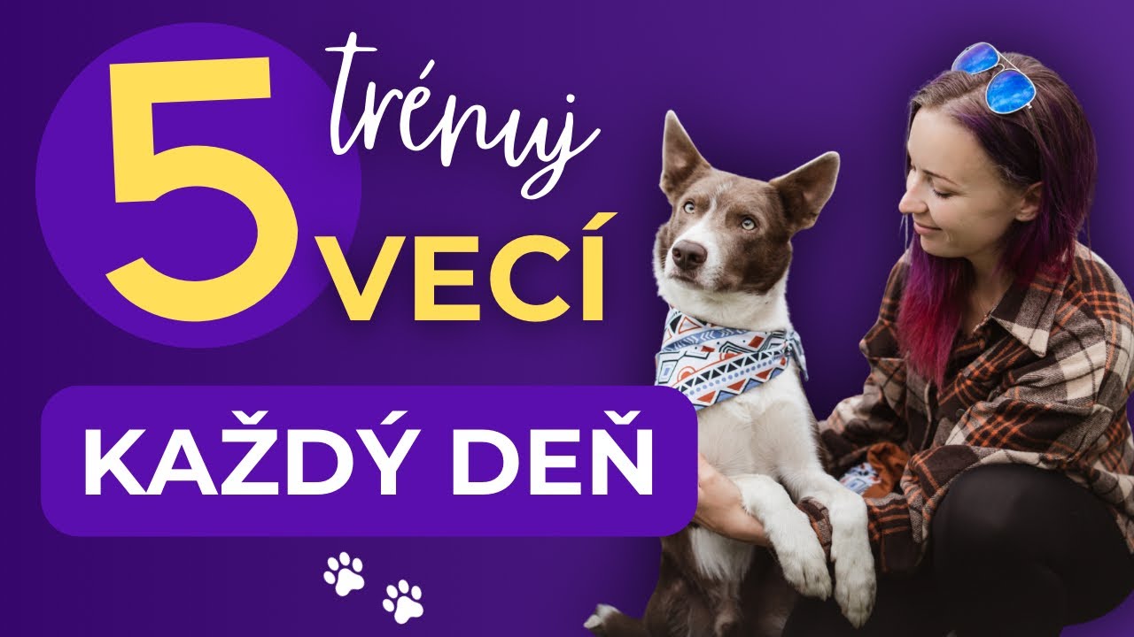 5 VECÍ, ktoré by si mal so psom cvičiť každý deň