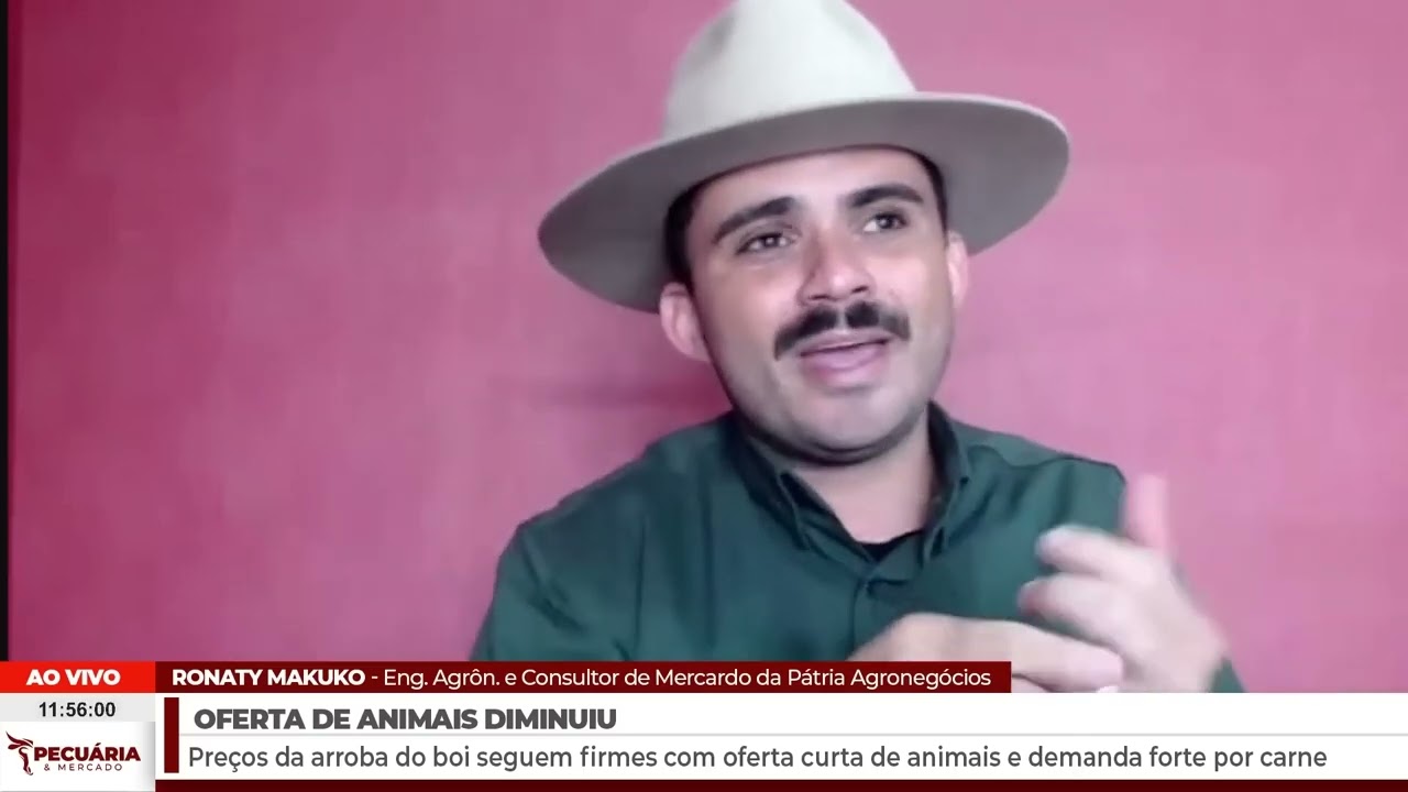 Alta da arroba e boas margens no confinamento: cenário positivo para o boi em 2025